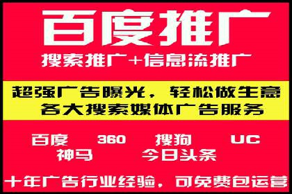 成功案例解析：SEO与SEM协同营销策略